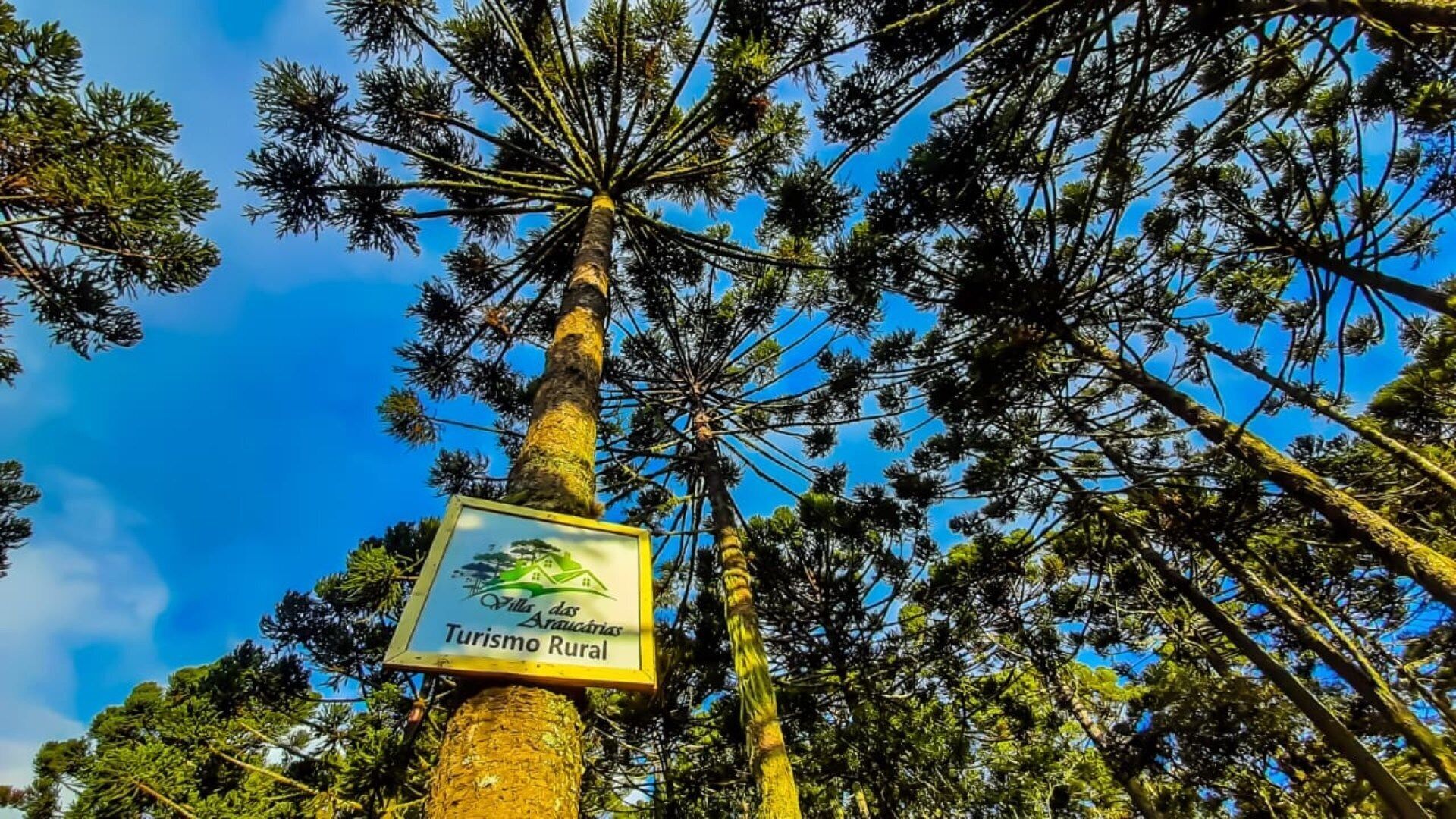 A sign on a tree indicating 'Villas das Graças Turismo Rural'.