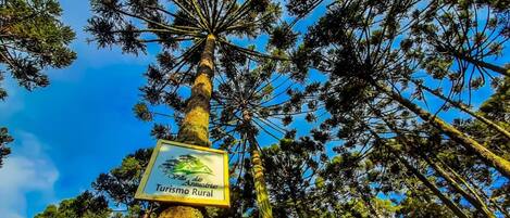 A sign on a tree indicating 'Villas das Graças Turismo Rural'.