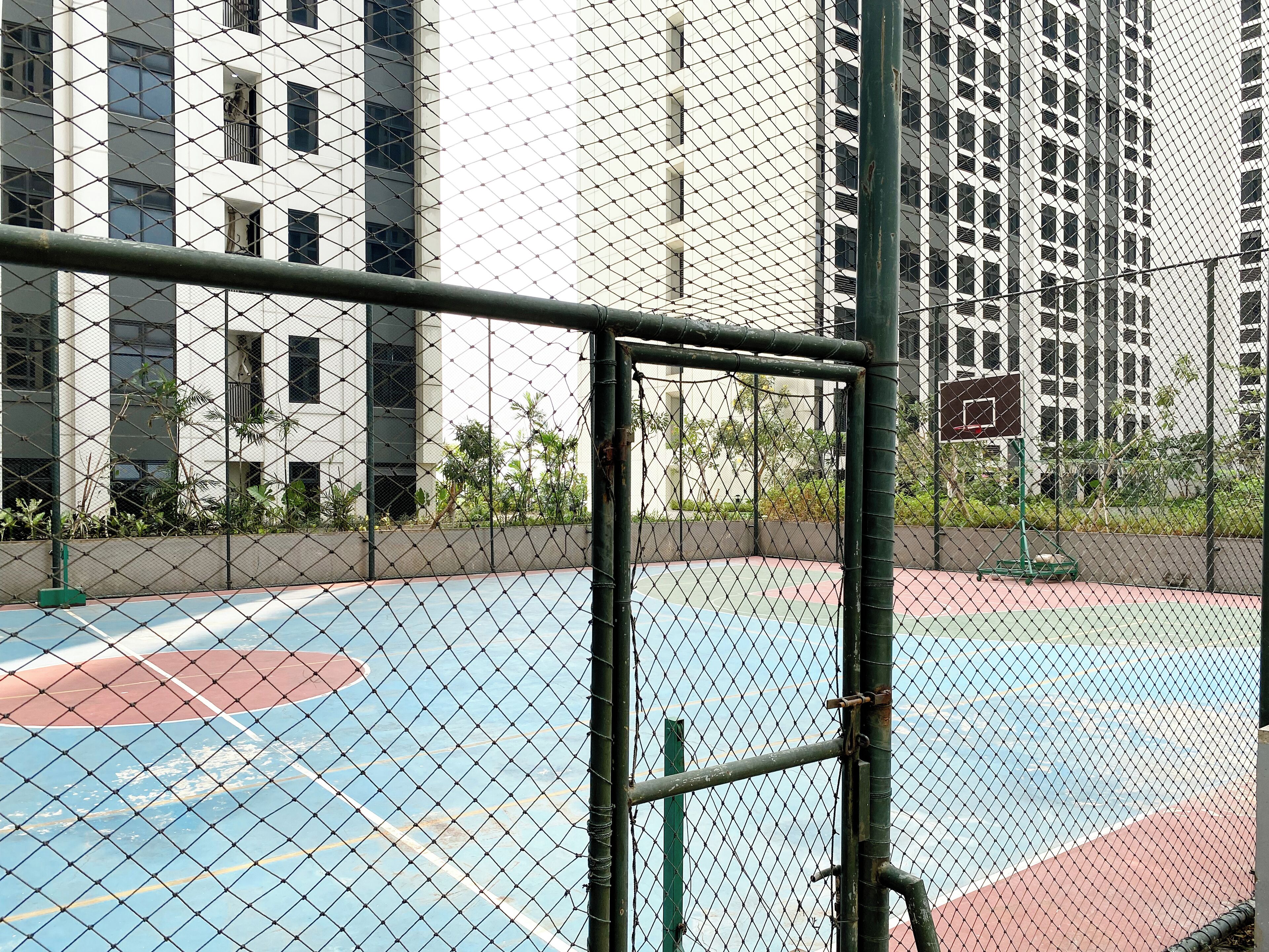Basketball court