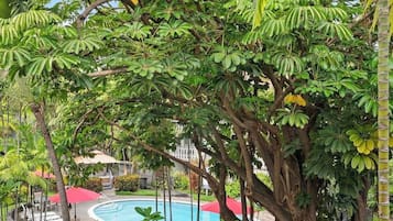 室外游泳池,恒温泳池