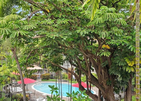 Una piscina al aire libre, una piscina climatizada