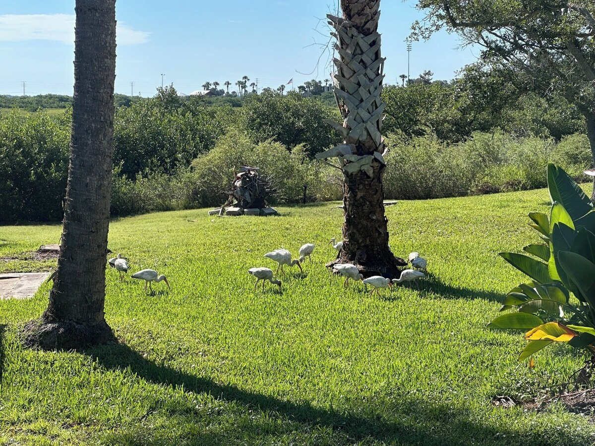 Photo 16 of Nature Lover's Waterfront Paradise, walking distance to downtown