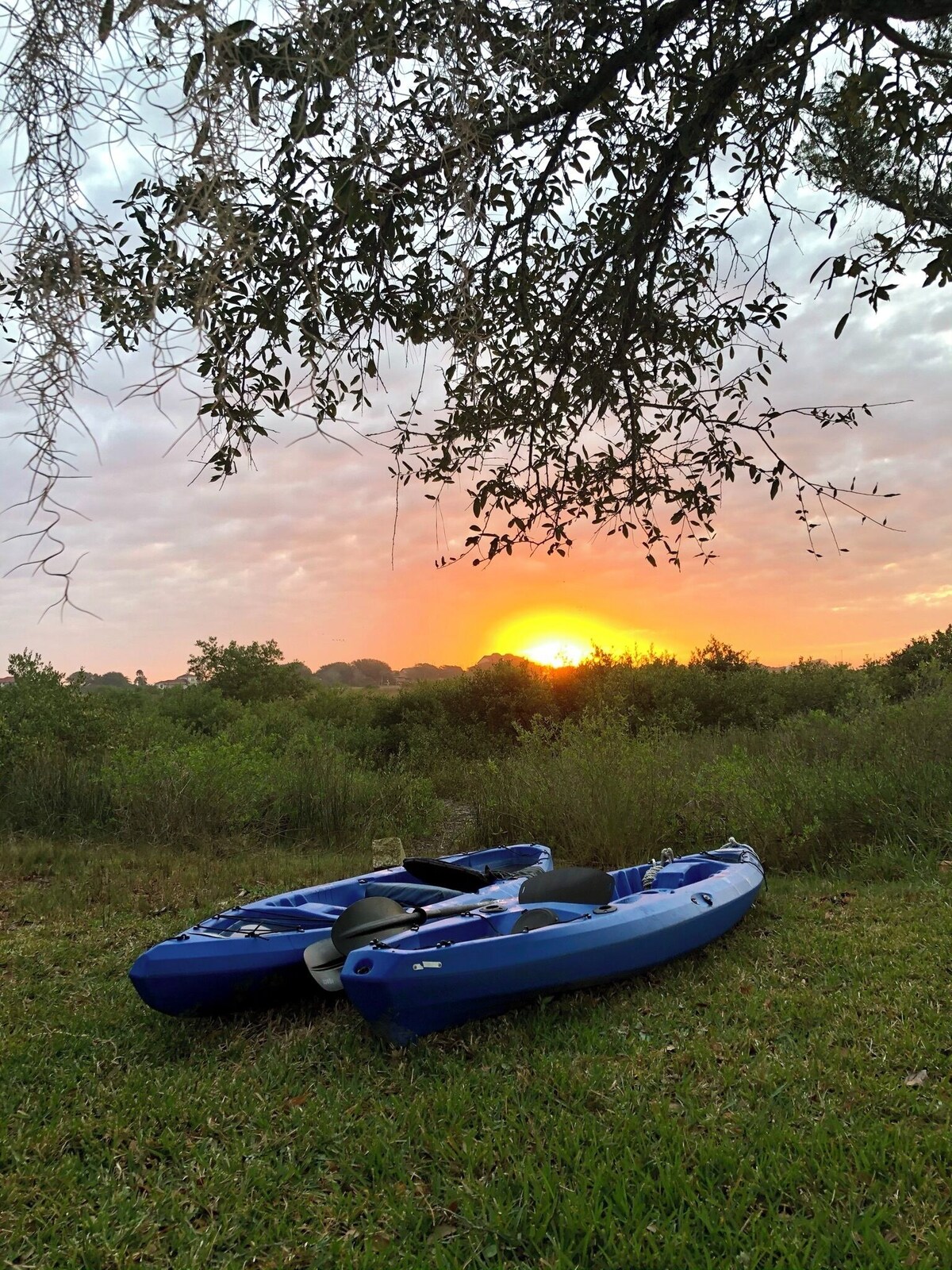 Photo 17 of Nature Lover's Waterfront Paradise, walking distance to downtown