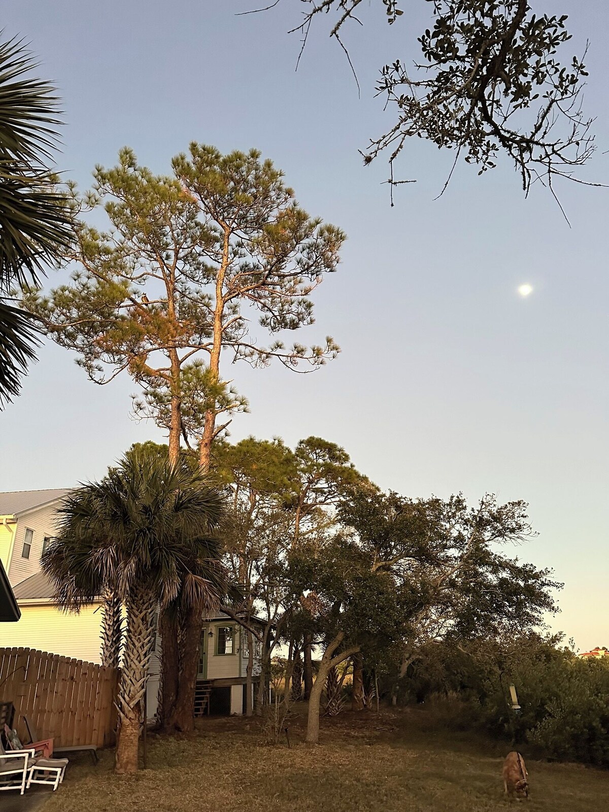 Photo 18 of Nature Lover's Waterfront Paradise, walking distance to downtown