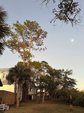 المنطقة المحيطة بالمنشأة