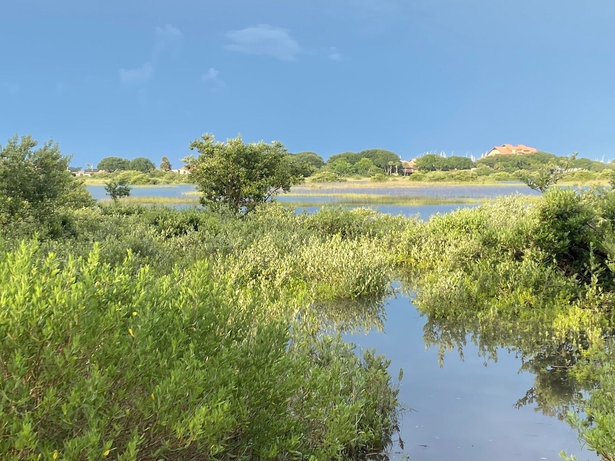 Photo 21 of Nature Lover's Waterfront Paradise, walking distance to downtown