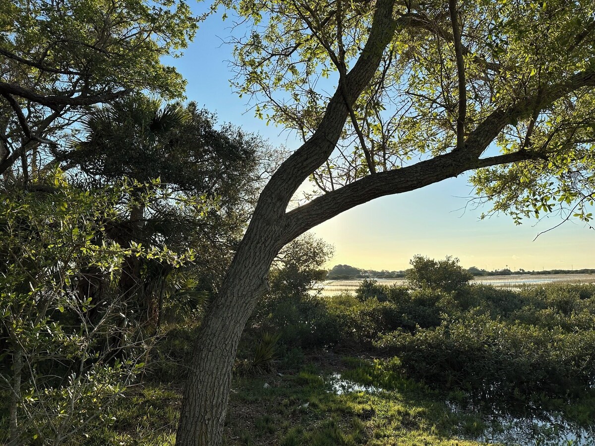 Photo 12 of Nature Lover's Waterfront Paradise, walking distance to downtown