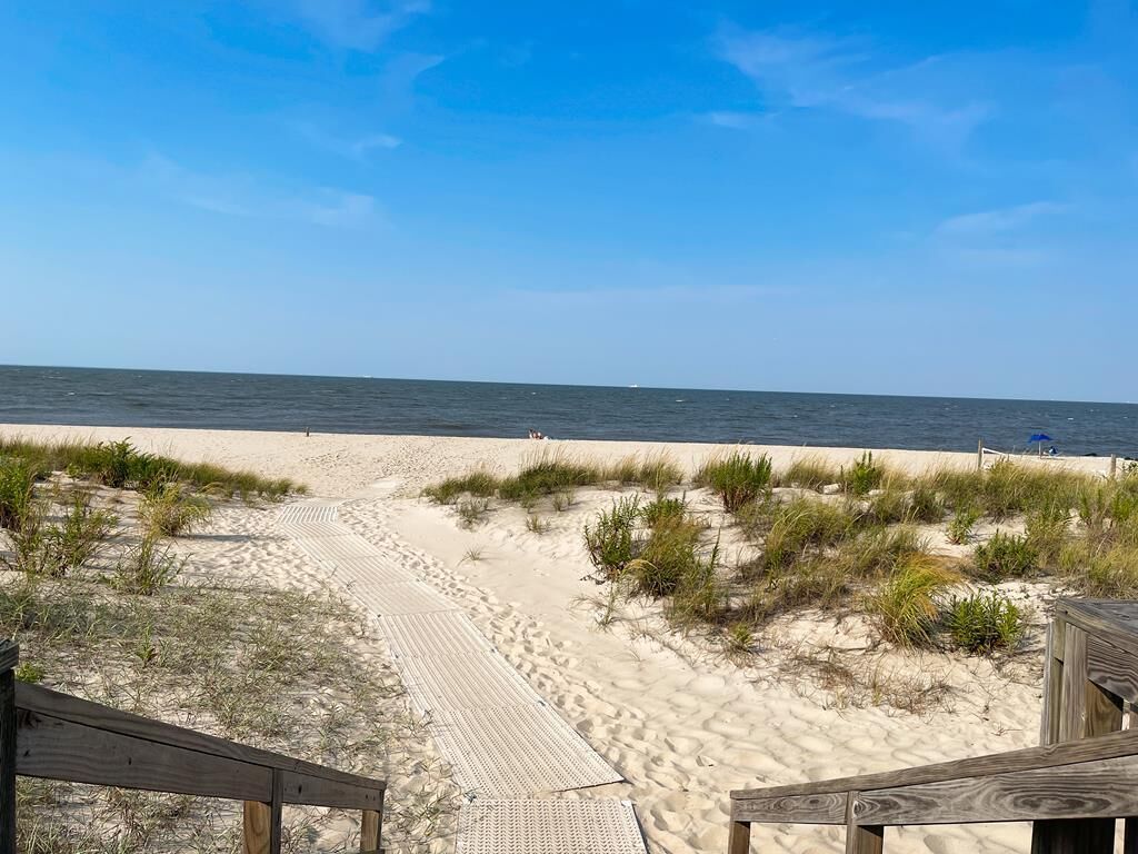 サンラウンジャー