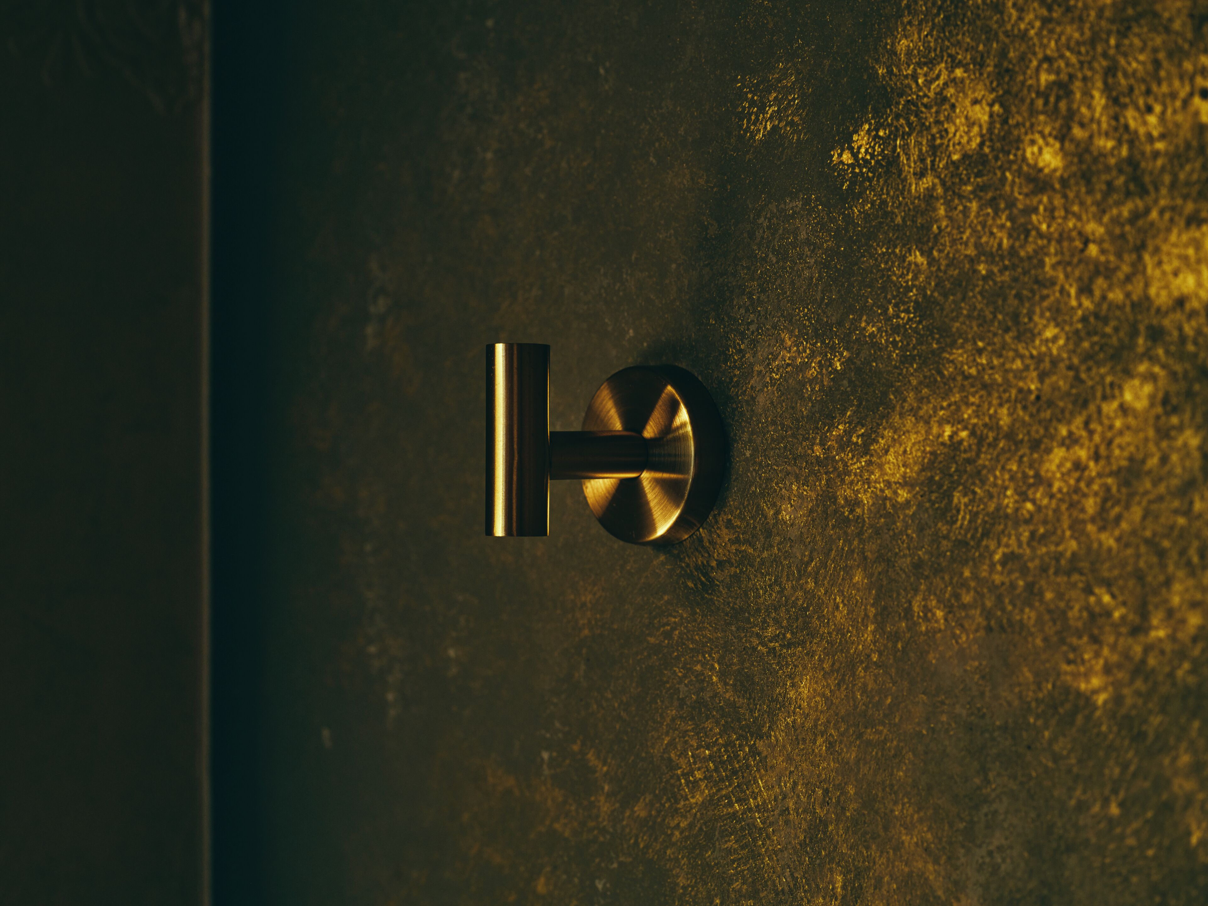 A metallic door handle with a circular lock mechanism.