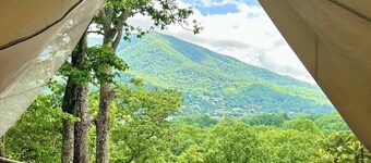 Lover’s Lookout is a treetop retreat  / perfect for a romantic escape.