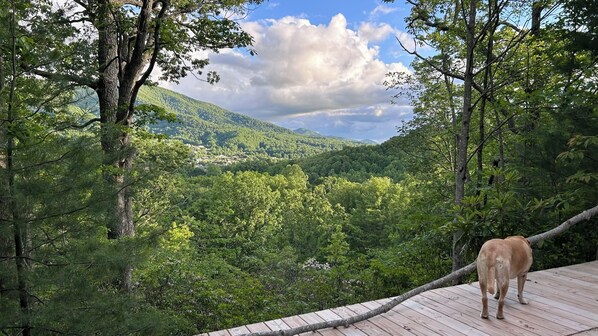 Une terrasse en bois surplombe une vallée boisée, avec une montagne en arrière-plan.