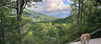 Lover’s Lookout is a treetop retreat  / perfect for a romantic escape.