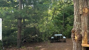 Un camino de grava conduce a una mesa de picnic bajo un árbol grande, con un edificio al fondo.