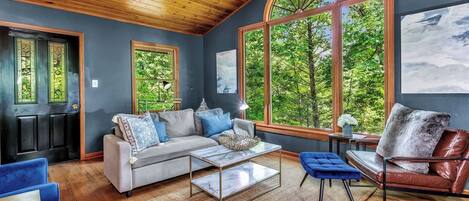 Télévision, cheminée, livres