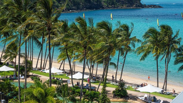 A beach resort with palm trees, a pool, and a view of the ocean.