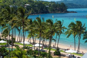 A beach resort with palm trees, a pool, and a view of the ocean.