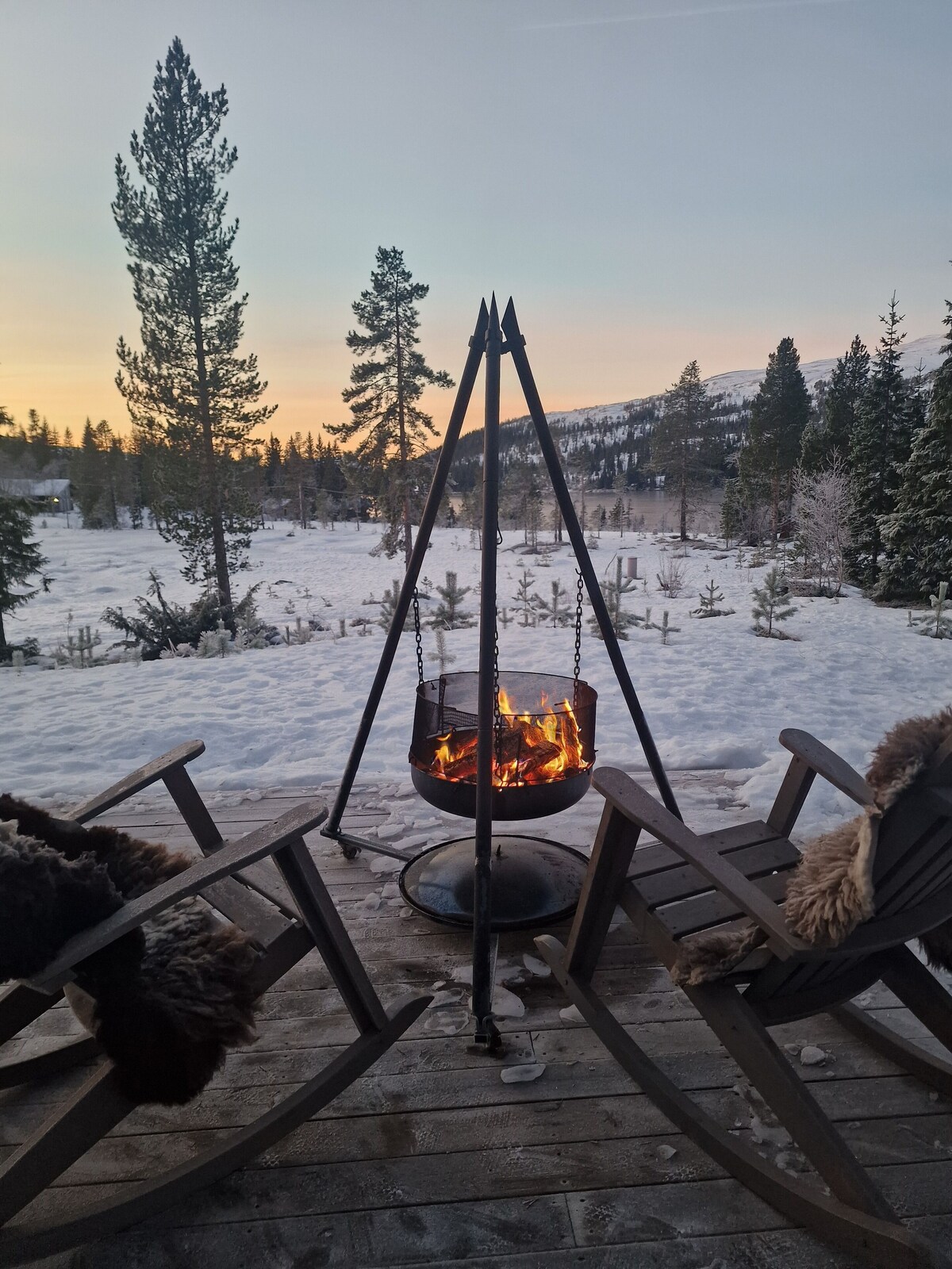 Image de profil de l’hôte