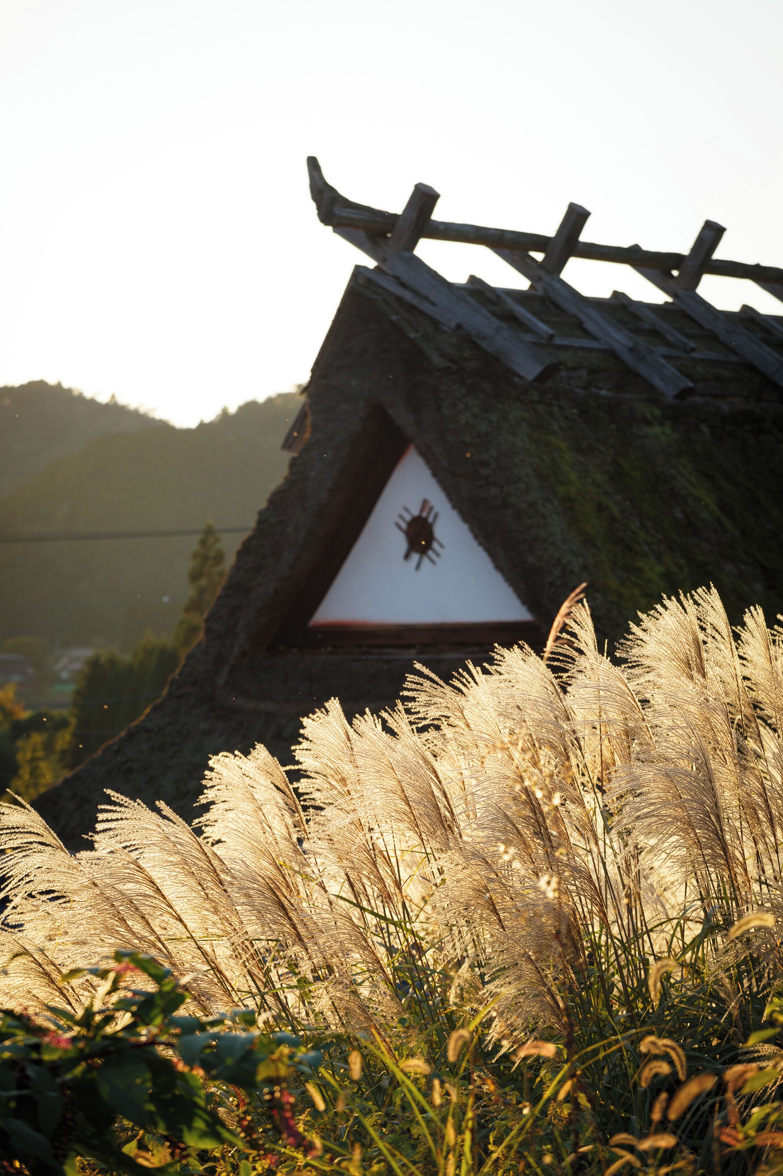 A thatched-roof structure with a triangular window and a sun symbol.