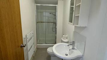 Shower, towels, toilet paper