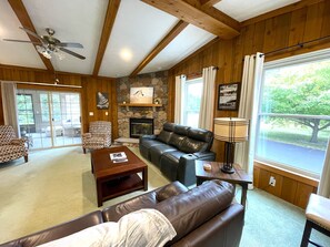 Televisión y chimenea