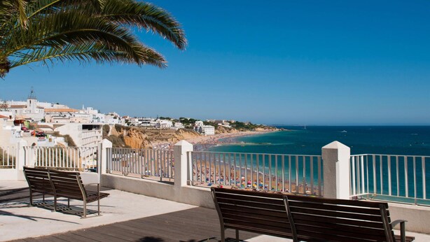 A seaside promenade with benches, a palm tree, and a view of the beach and ocean.