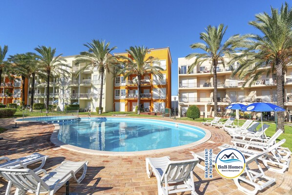 A hotel pool area with lounge chairs and palm trees.