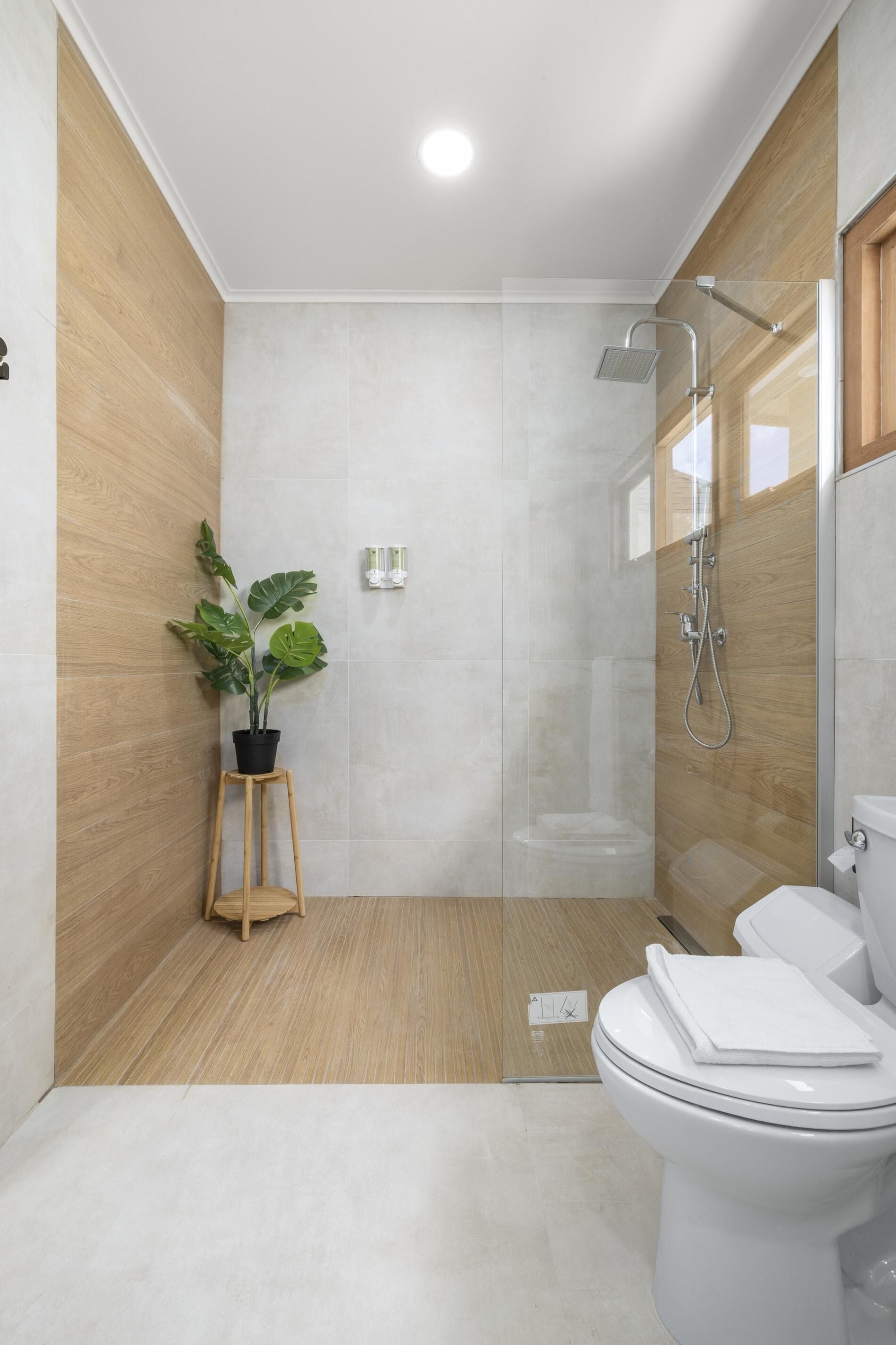 Shower, hair dryer