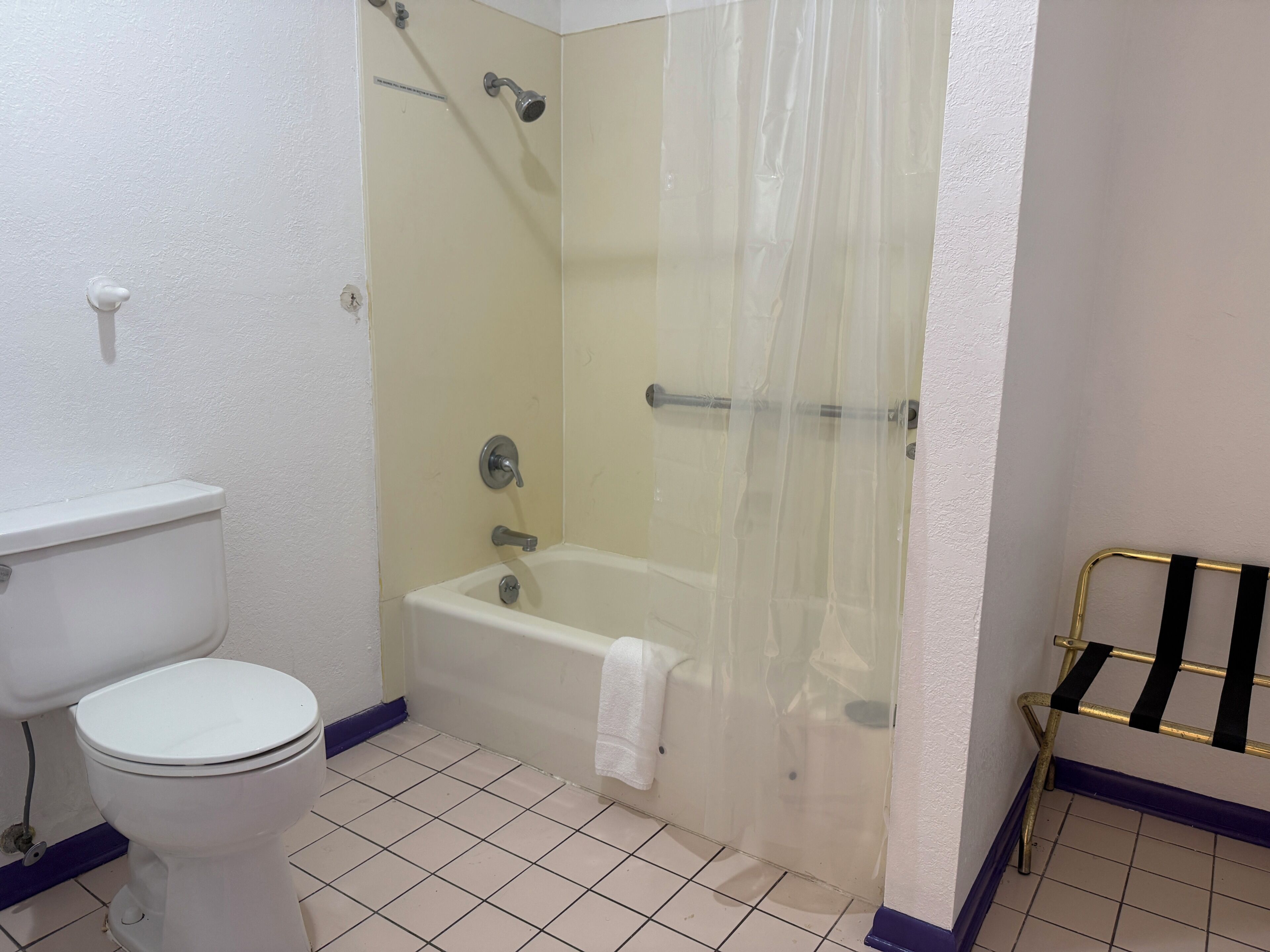 A bathroom with a toilet, a bathtub, and a shower curtain.
