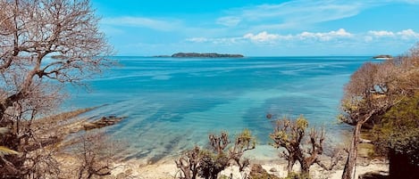 海滩