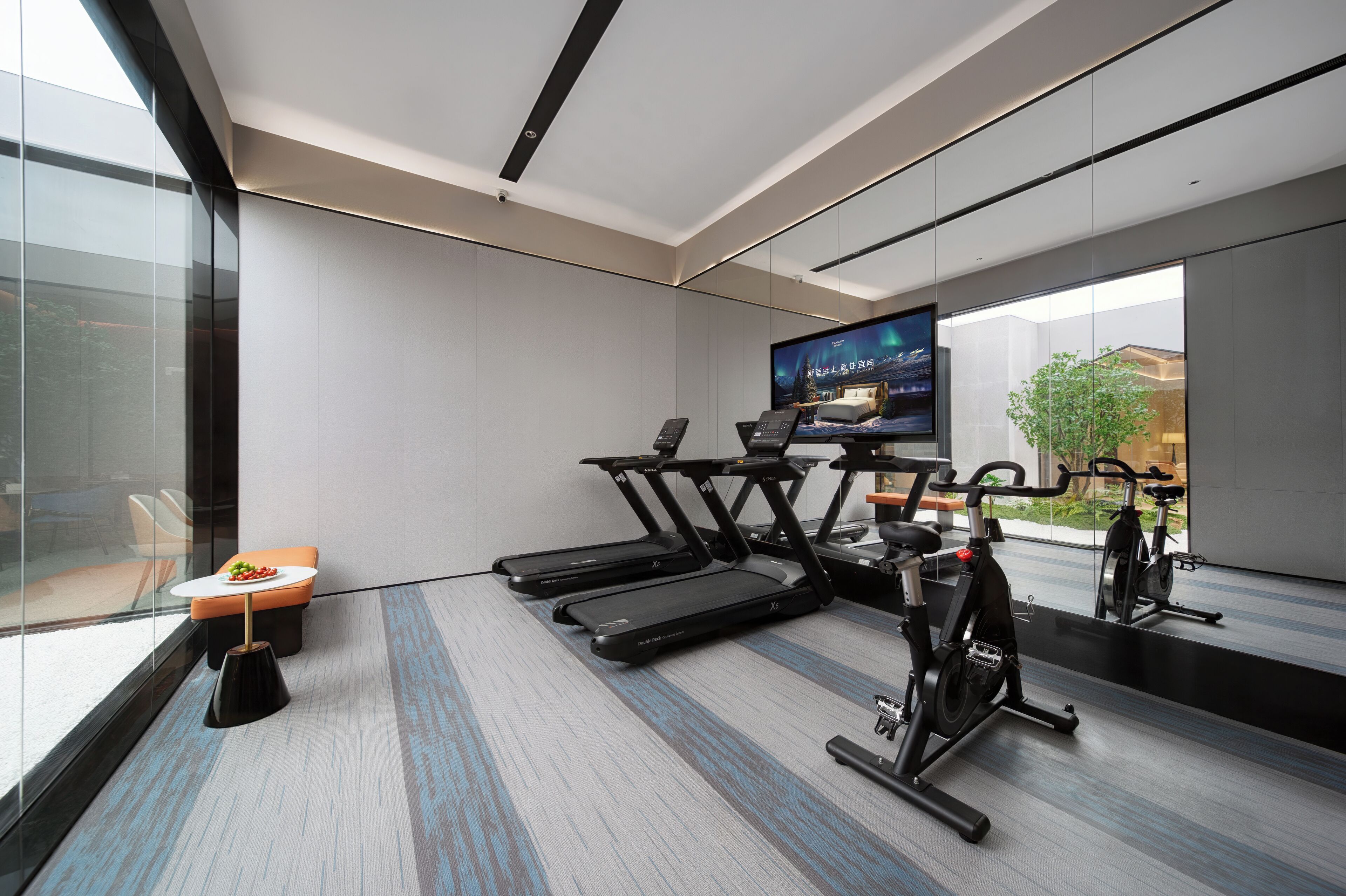 A modern gym with treadmills, an elliptical, and a stationary bike. There is a TV mounted on the wall, a small table with a plant, and a window offering a view outside.