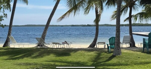 Sun-loungers, beach towels