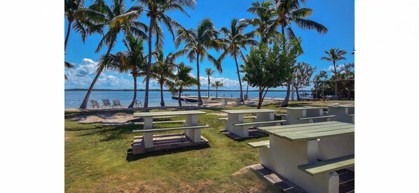 Outdoor dining - Seasonal Key Largo Retreat with Private Pool, Tiki Hut & Beach Access (Key Largo)