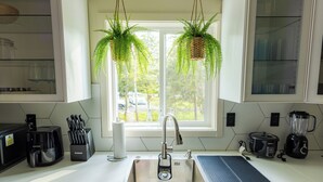 A kitchen with a stainless steel sink, a coffee maker, a blender, and hanging plants. - Deer Trails Retreat•Games•Fire Pit•Near Kalahari•Pocono•Camelback (Pocono Summit)