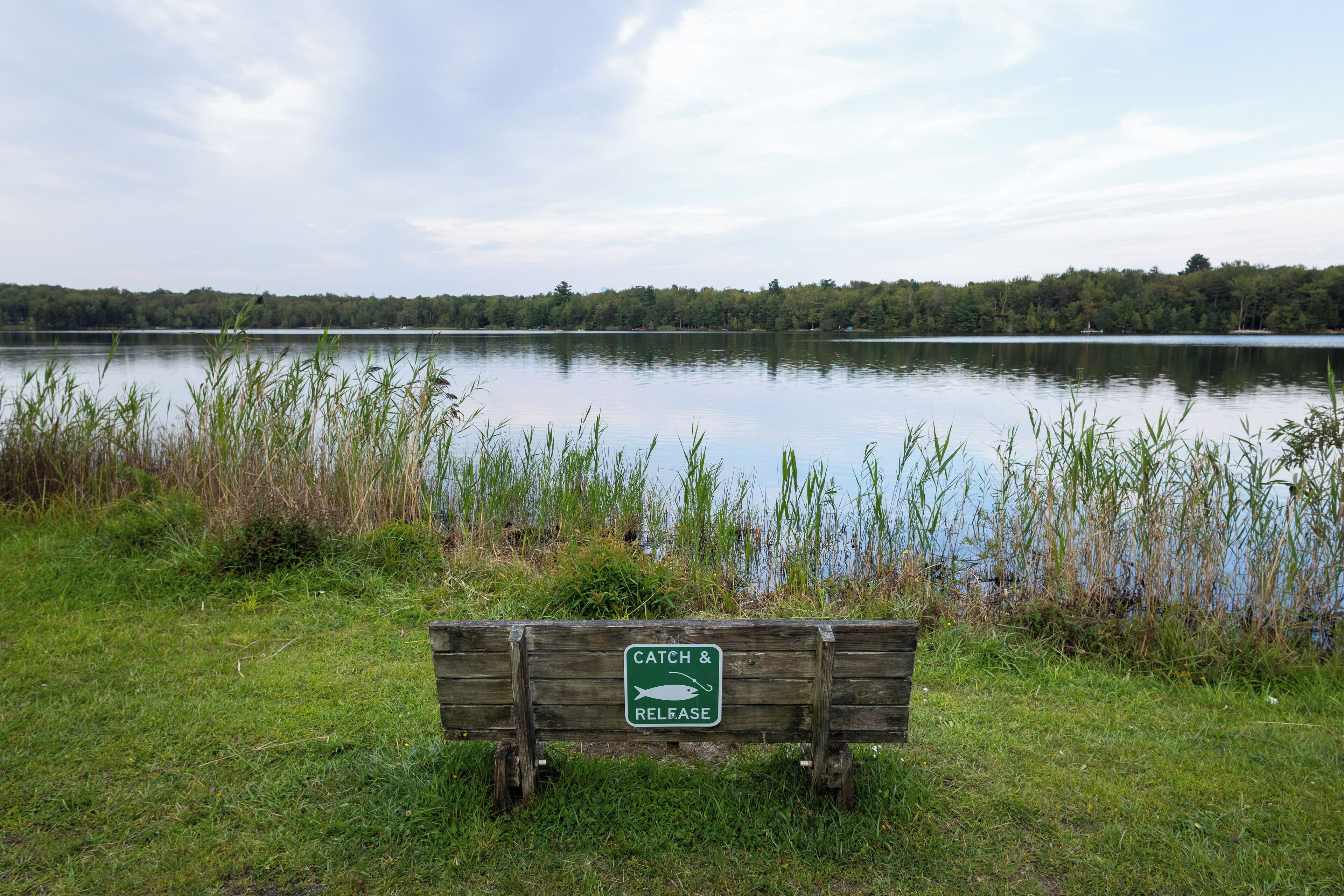 A wooden bench with a sign that reads "CATCH & RELEASE" in front of a calm lake.