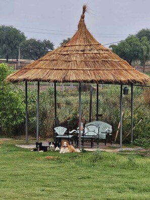 Restauration extérieure