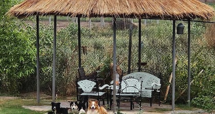 Farmstay in Jaipur, Kalwar