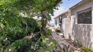 A house with a stone pathway leading to the entrance, surrounded by lush greenery and flowering plants. - Bird Rock, La Jolla Whitewater w/AC (La Jolla)