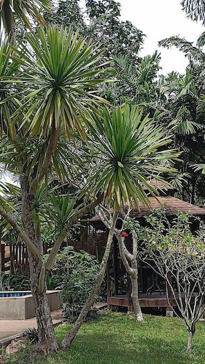 Jardim