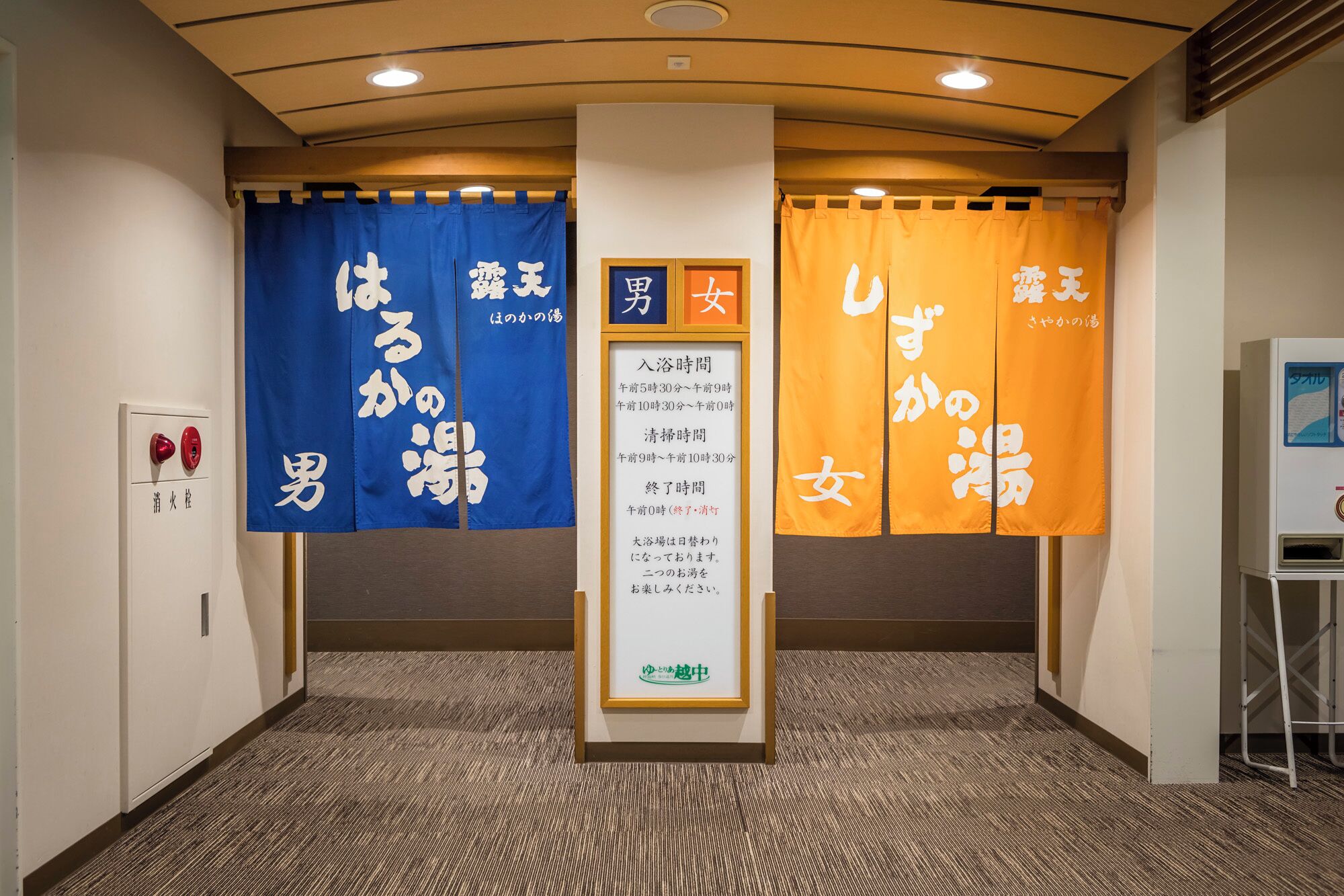 吹风机、拖鞋、毛巾、卫生纸