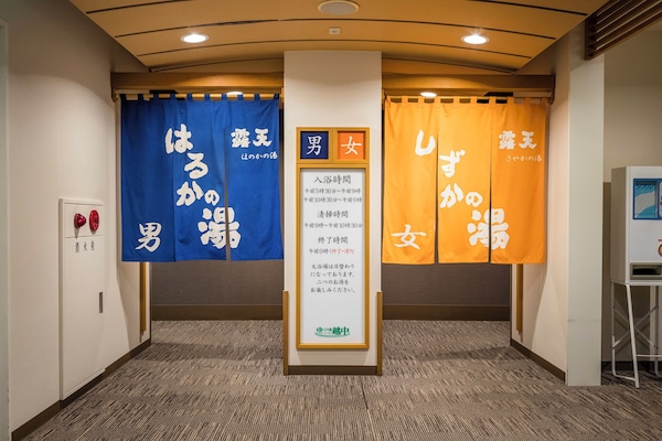 Hair dryer, slippers, towels, toilet paper