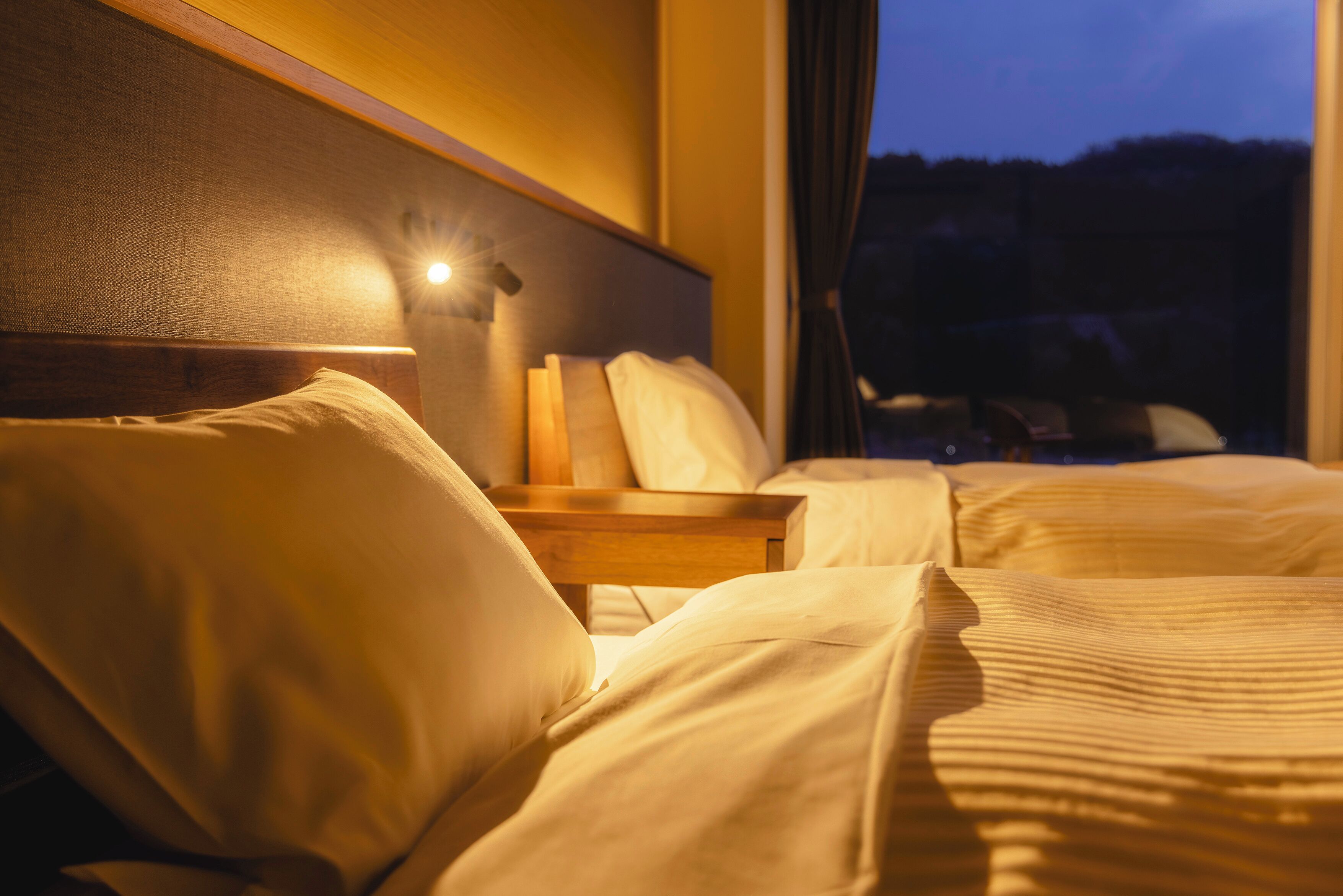 高级双床房 | 客房内保险箱、熨斗/熨板、免费 WiFi