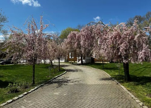 Serenity Retreat- spacious 1 bedroom with access to private pool and Jacuzzi 