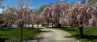 Serenity Retreat- spacious 1 bedroom with access to private pool and Jacuzzi 