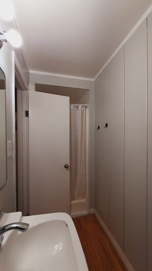 A bathroom with a white sink, a shower curtain, and a door leading to a closet.
