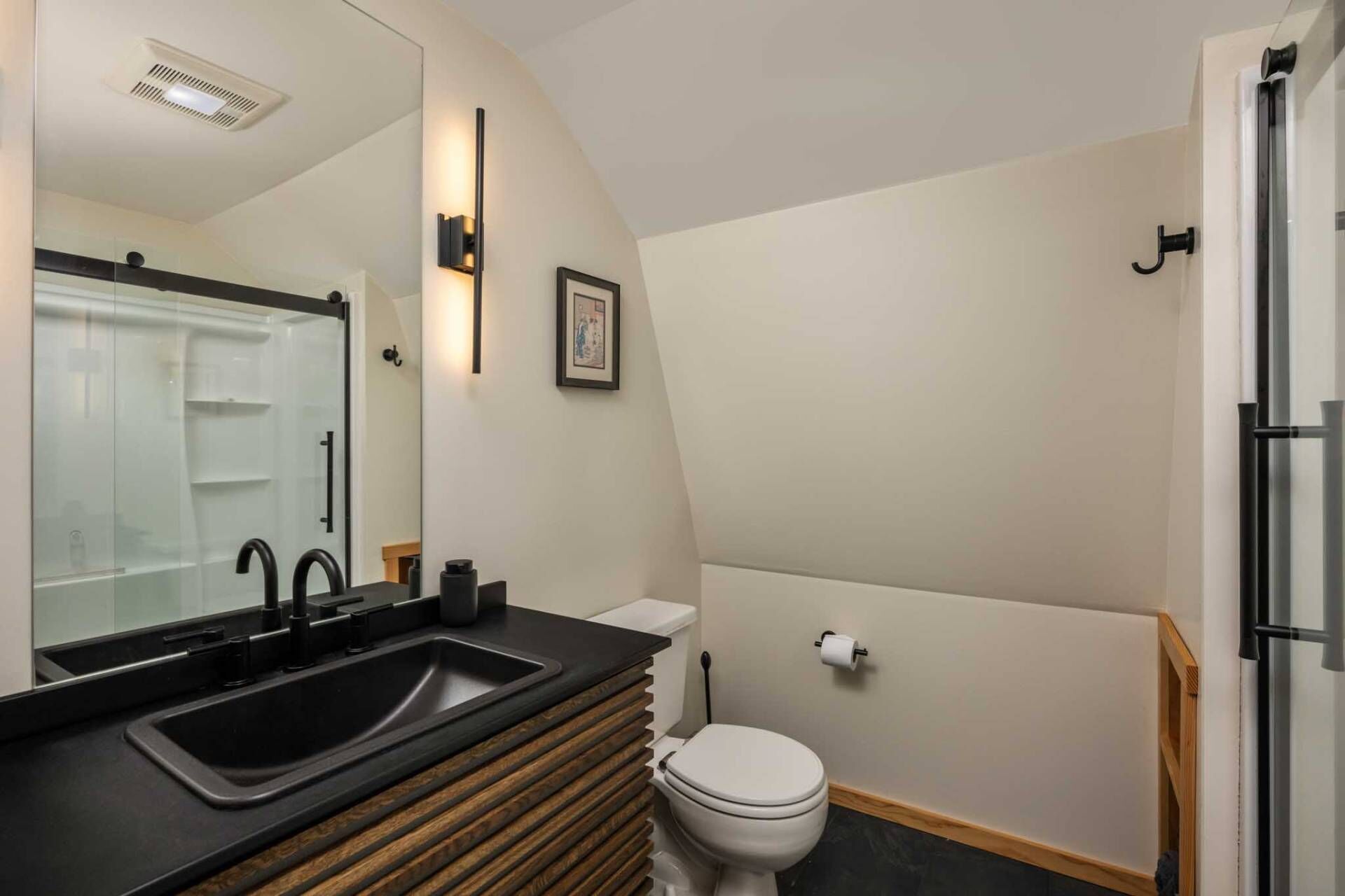 Hair dryer, towels, shampoo