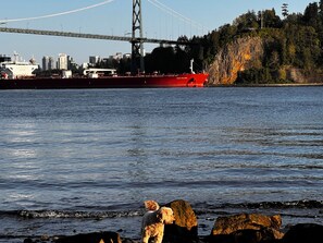 A large red ship on a body of water with a bridge in the background and a rocky shoreline.