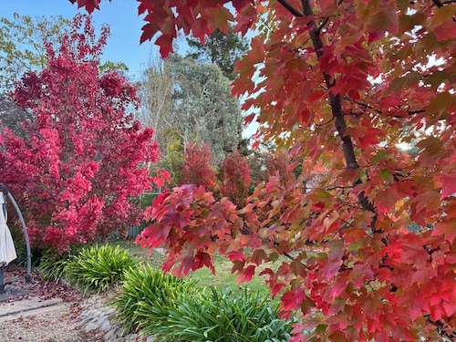 Pet friendly cottage in the heart of Bright. Park the car and walk everywhere!