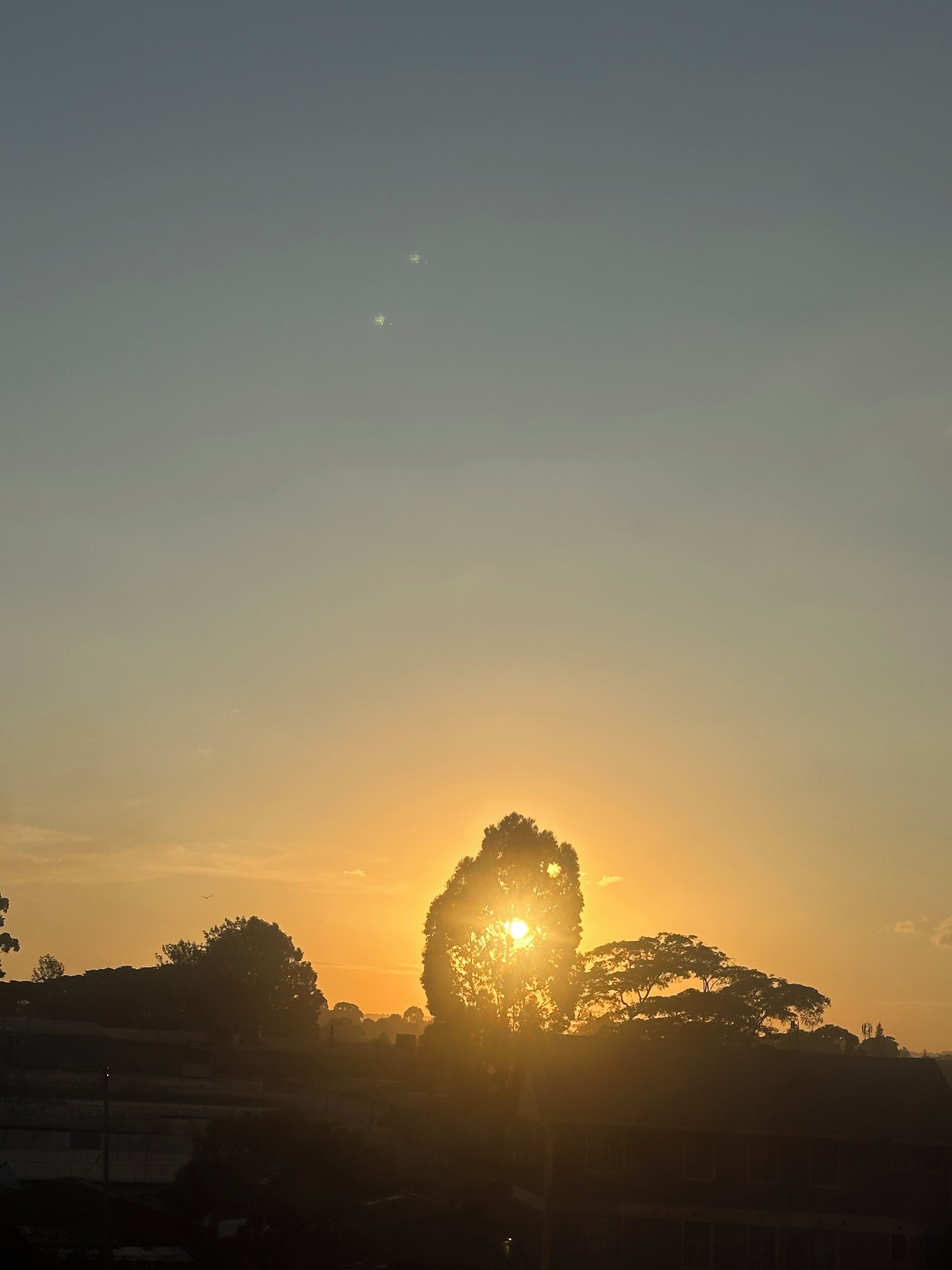 A sunset with the sun partially obscured by a tree silhouette.