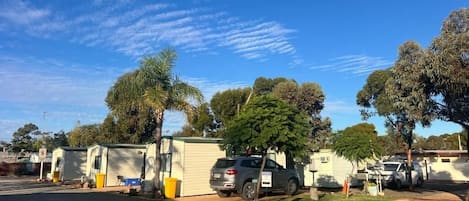 A caravan park with multiple caravans parked in rows, surrounded by trees and a clear blue sky.