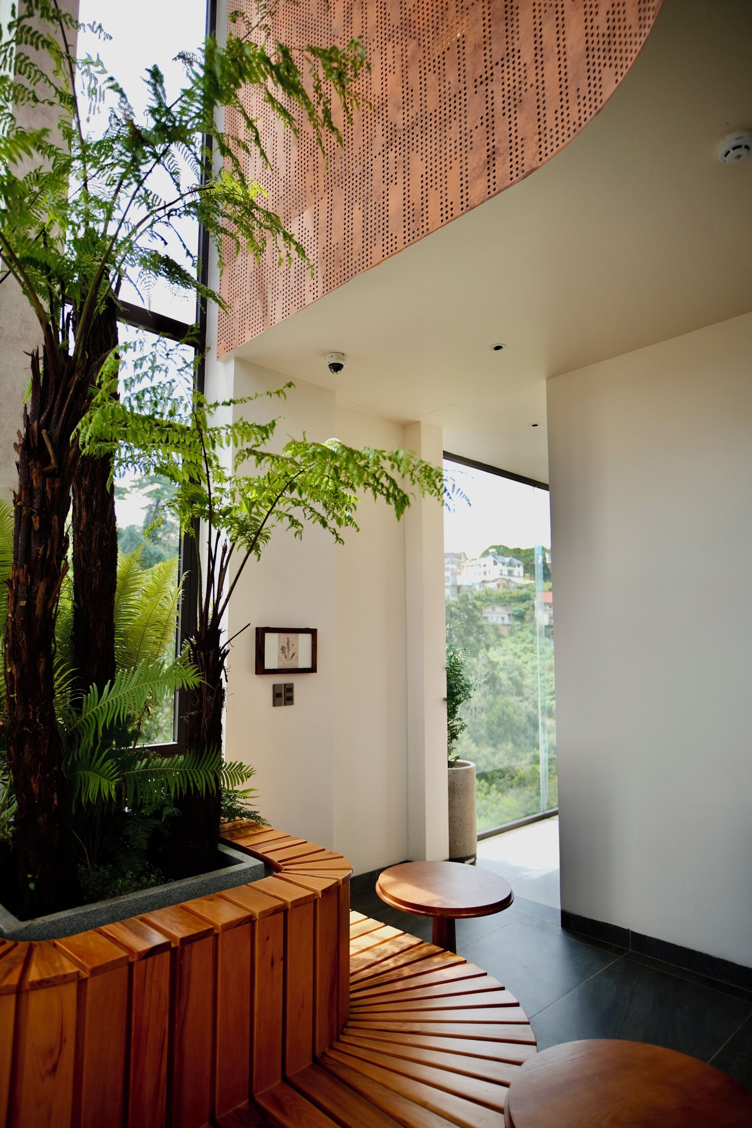 A modern interior with a wooden bench, a potted plant, and a view of the outside.